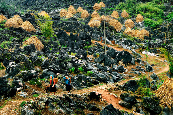 Tour du lịch Hà Nội - Hà Giang (4 ngày 3 đêm) - Khám phá Cao Nguyên Đá Đồng Văn - Giá 3.190.000 VNĐ/Khách